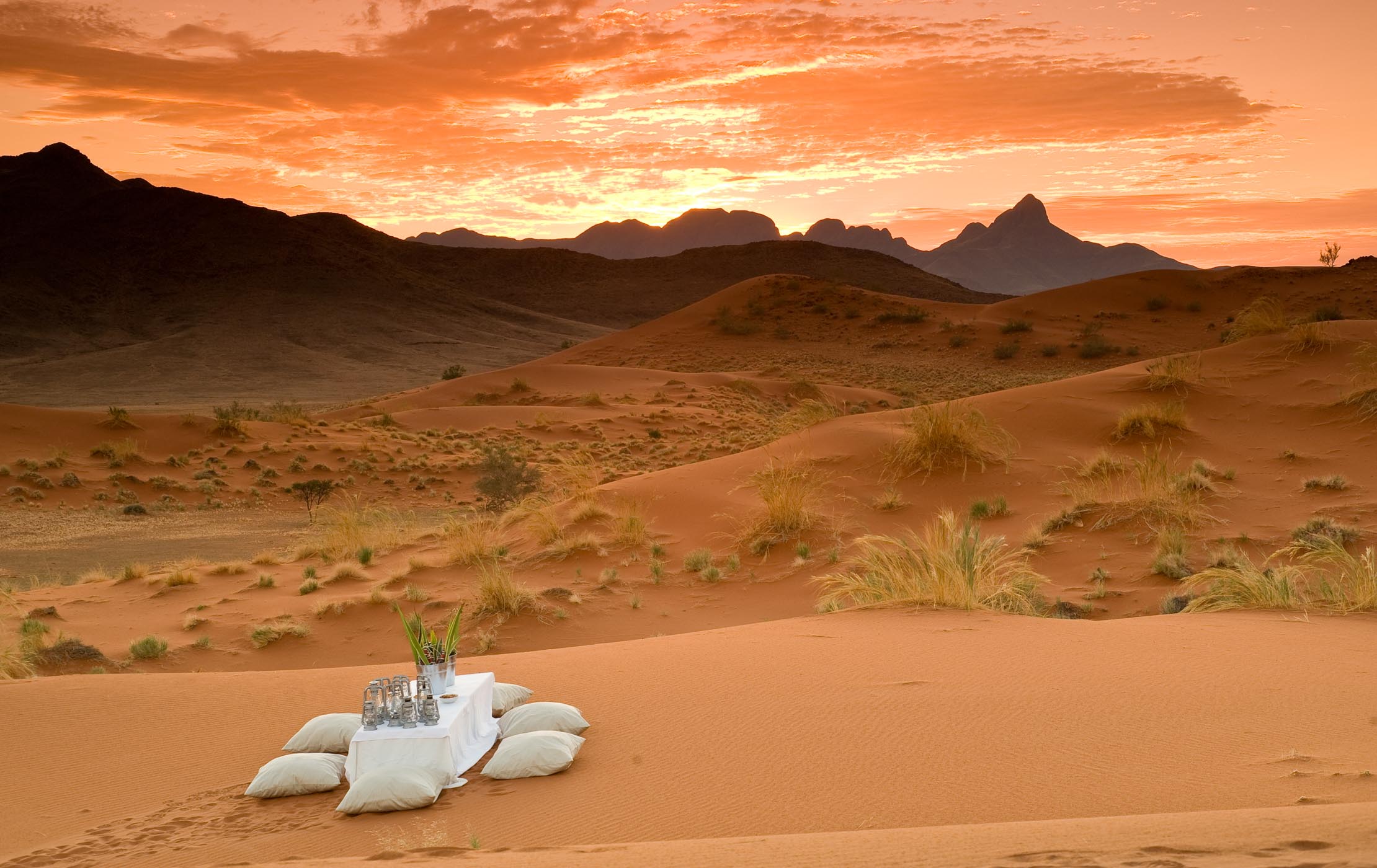 Desert namib Namib Desert