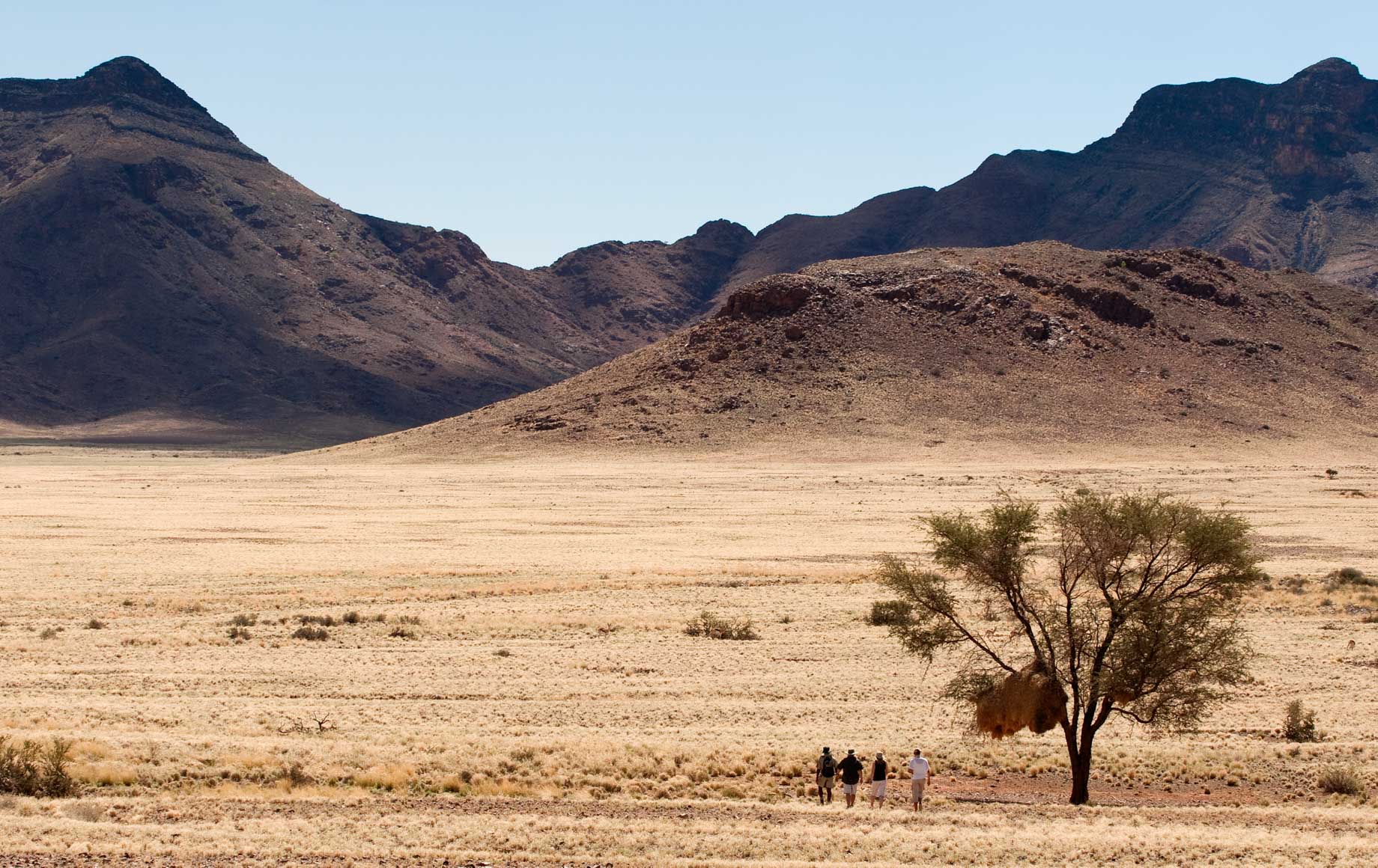 Exploring the Sossuvlei Namib Desert