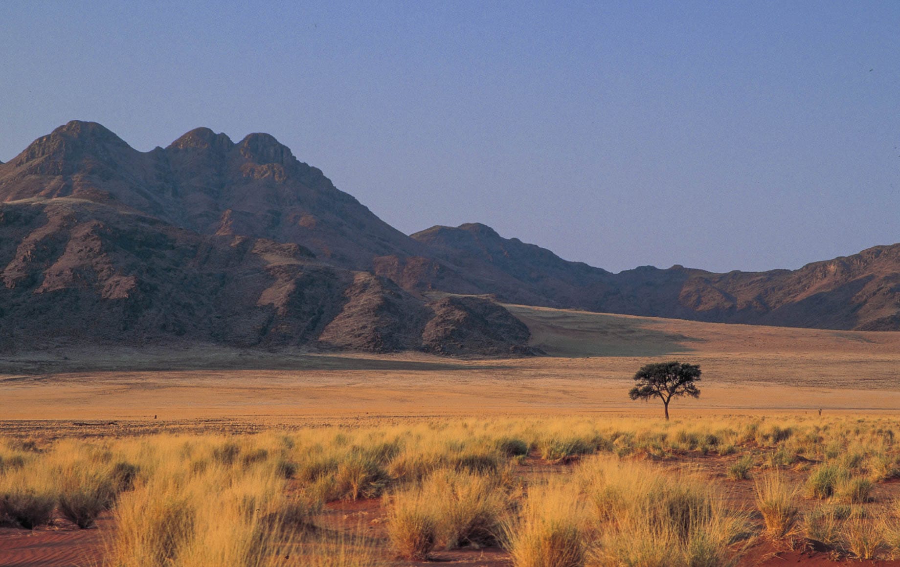 Beautiful scenery of Sossusvlei Nambi Desert