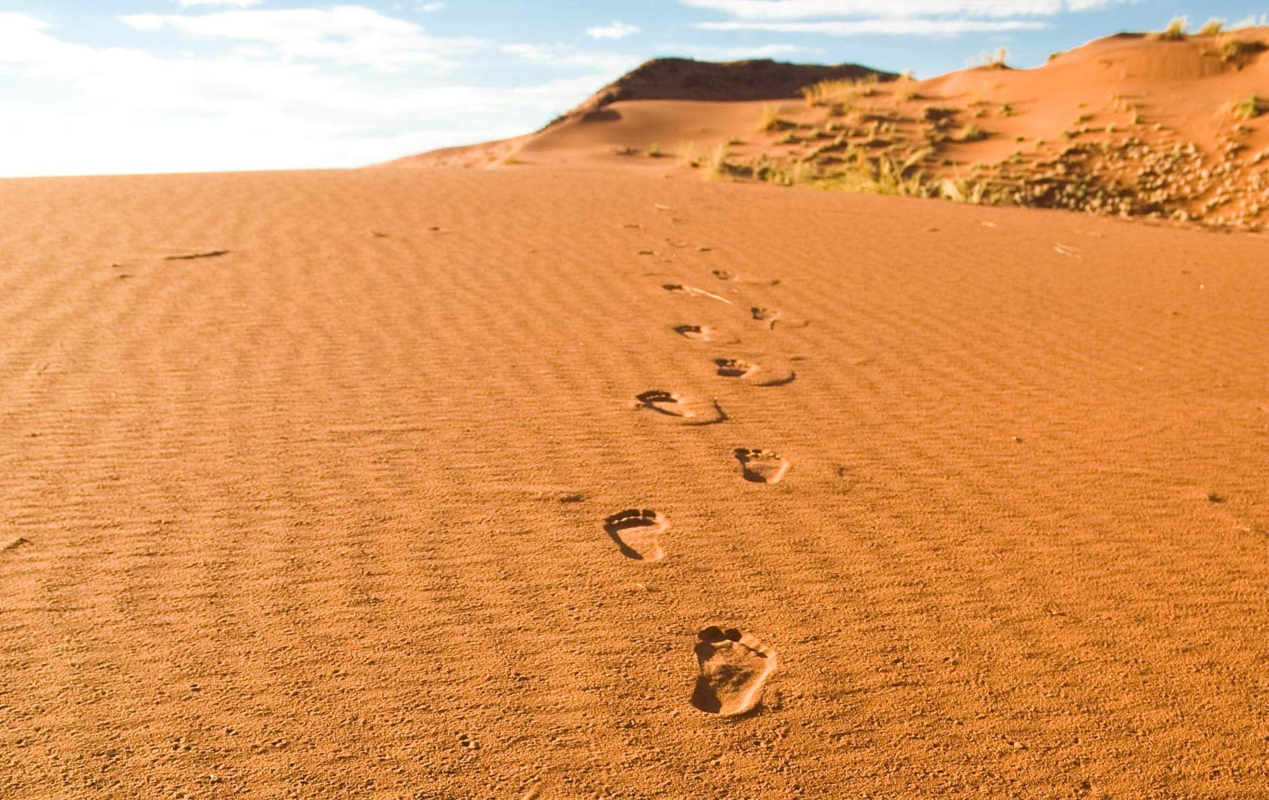 Footsteps on the desert sand in Sossusvlei Namib Desert