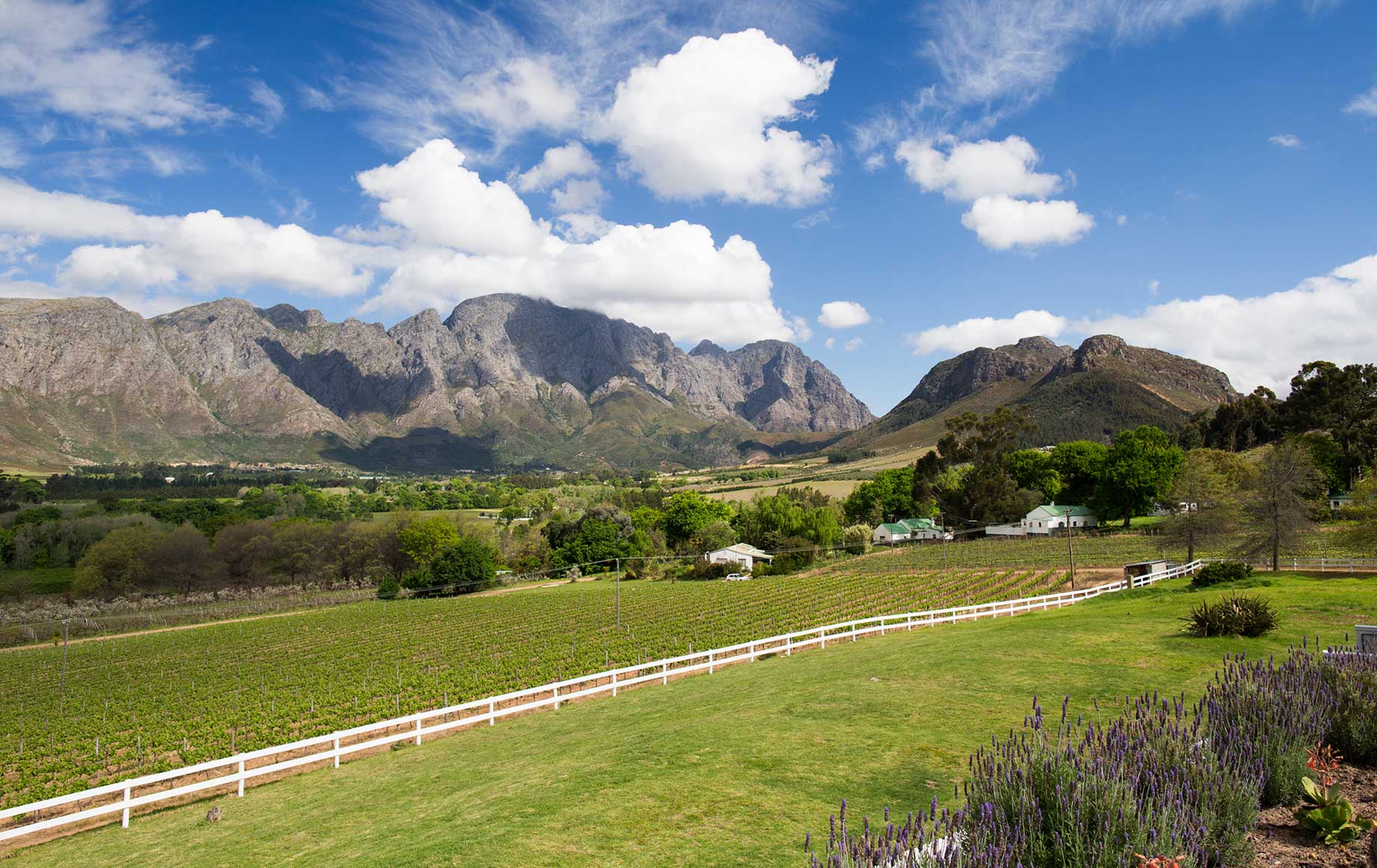 Great scenery under the sunny sky of Cape Winelands