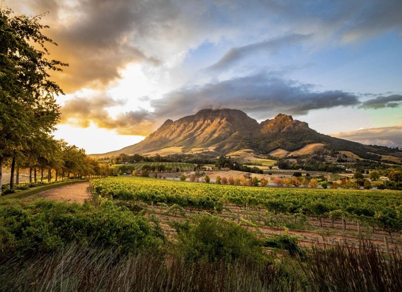 Stellenbosch, Franschhoek and the Cape Winelands