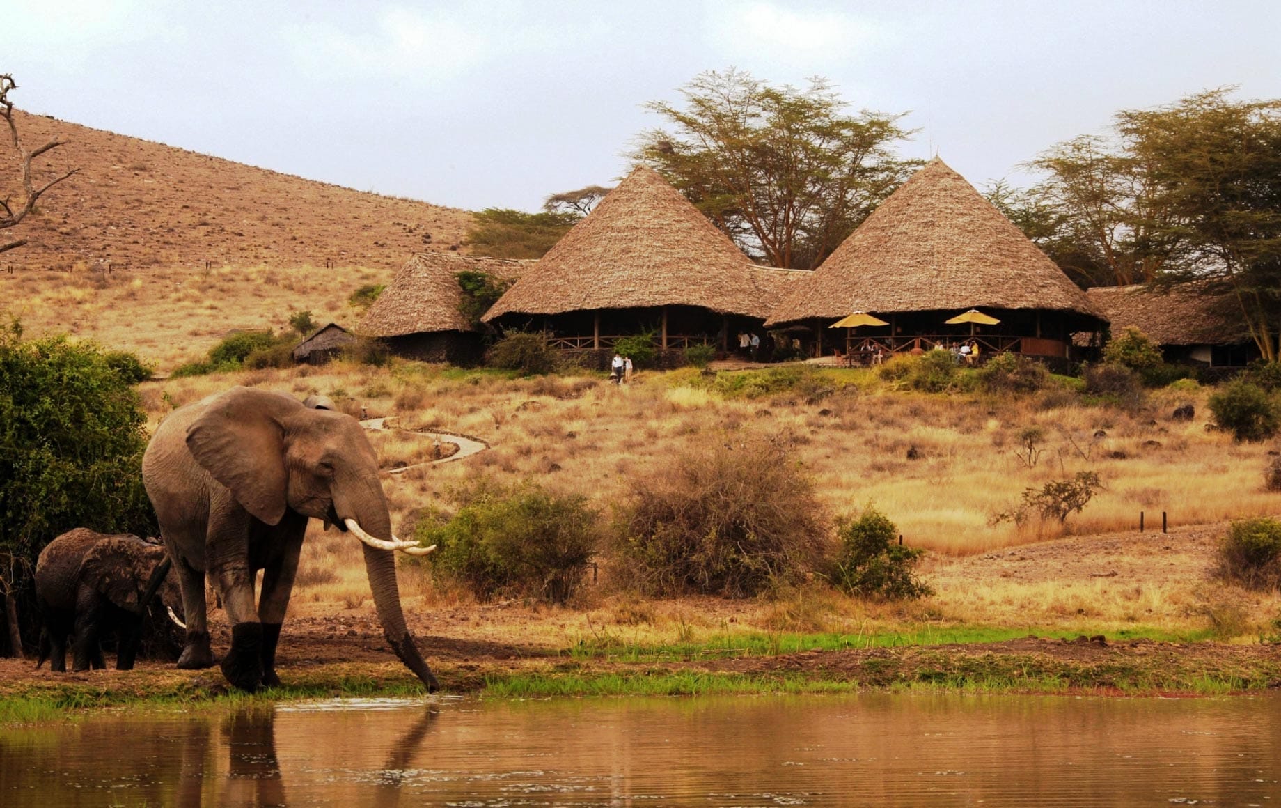 Tortilis Safari Camp, Amboseli, Kenya