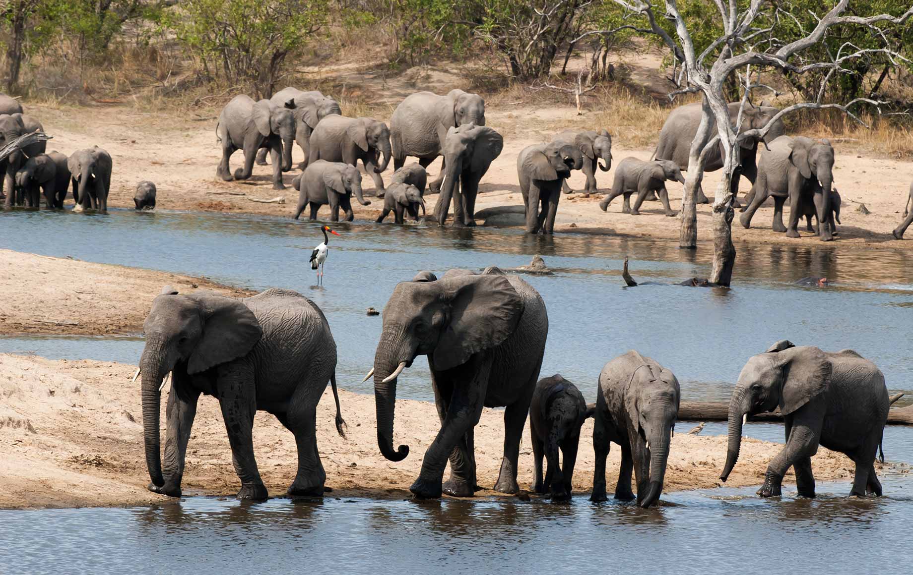 Ulusaba Private Game Reserve