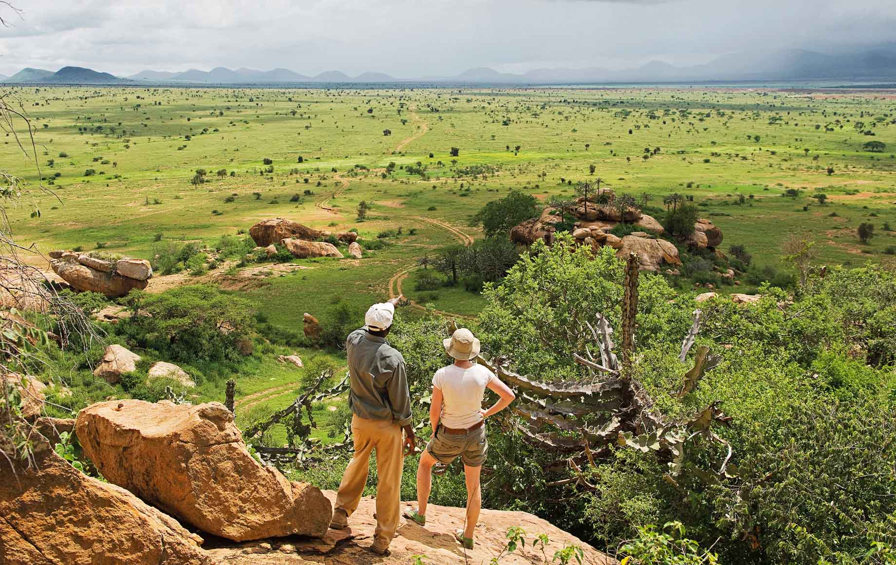 Walking safari