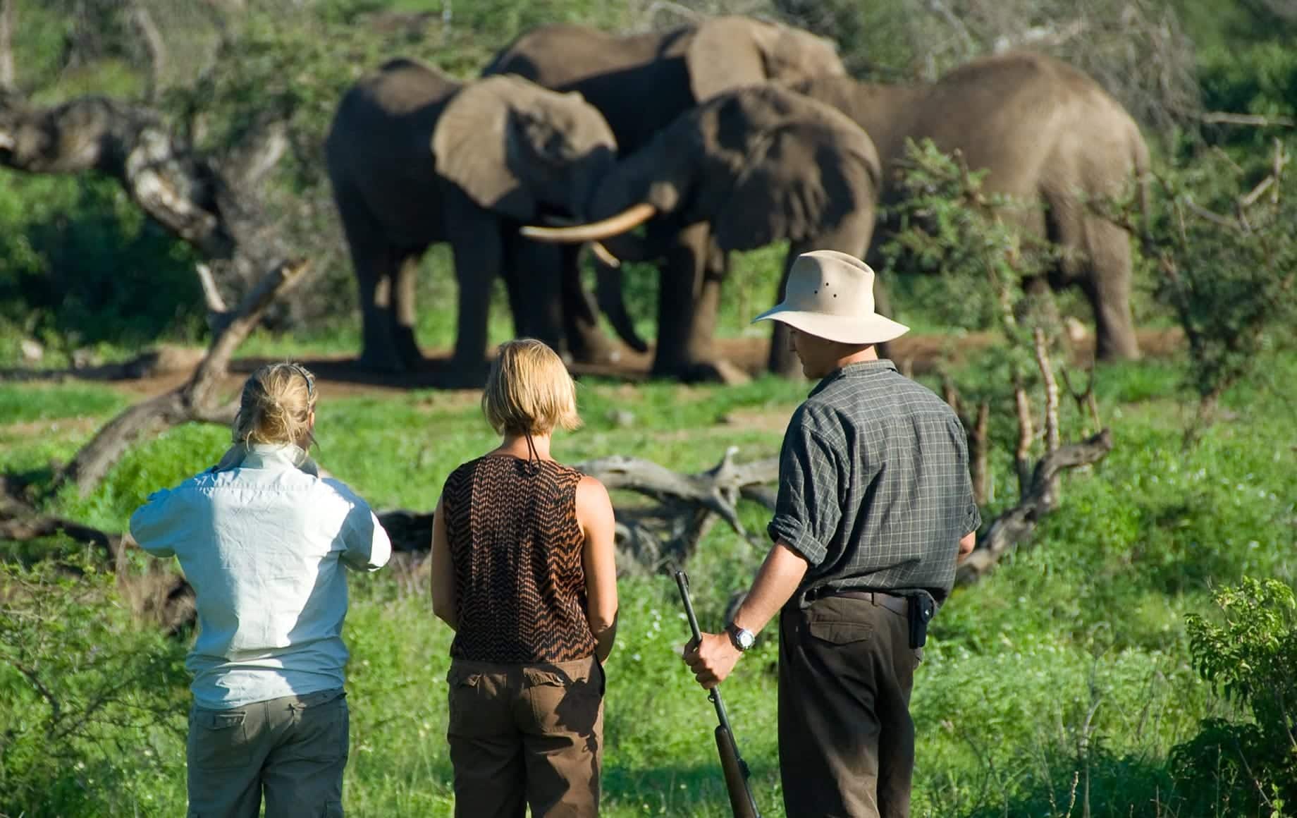 Walking into safari