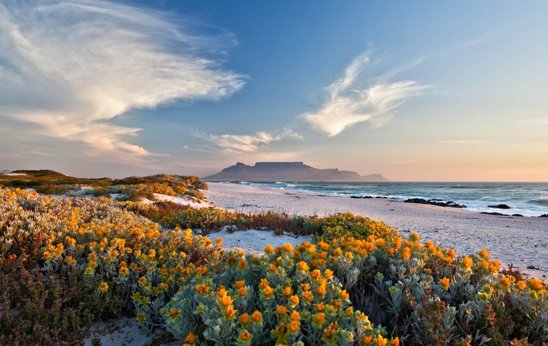 Western Cape