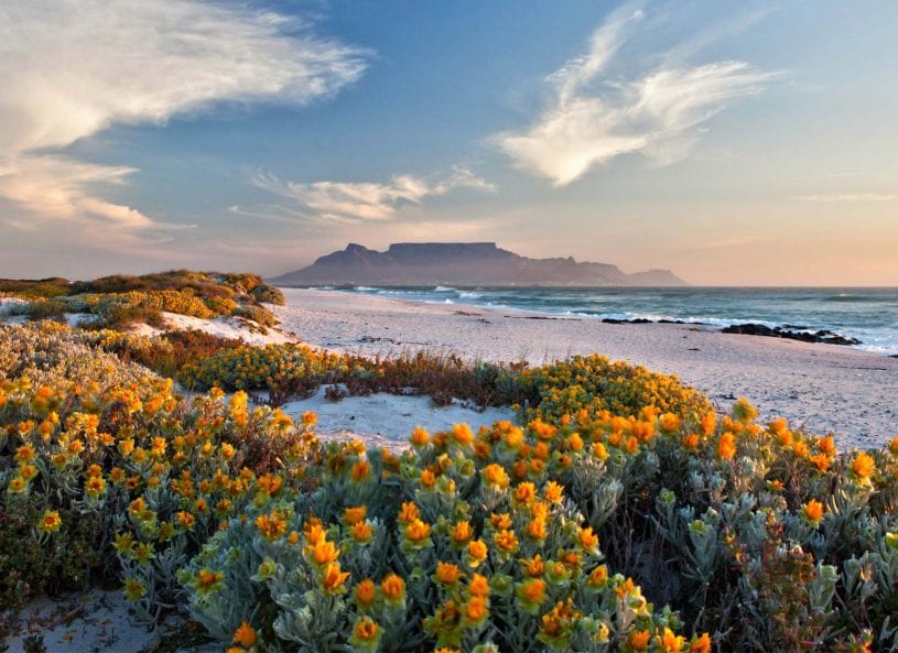 Western Cape