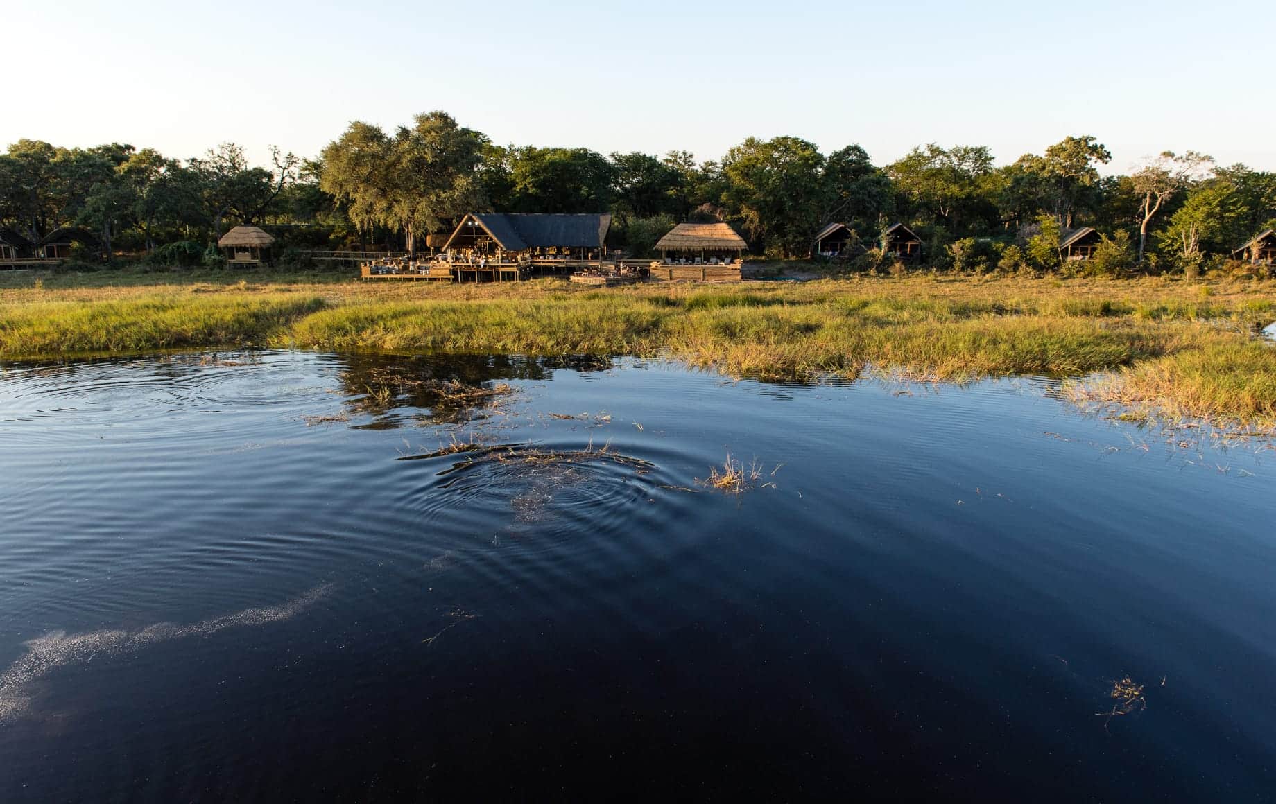 Sable Alley - Okavango Delta, Botswana‎