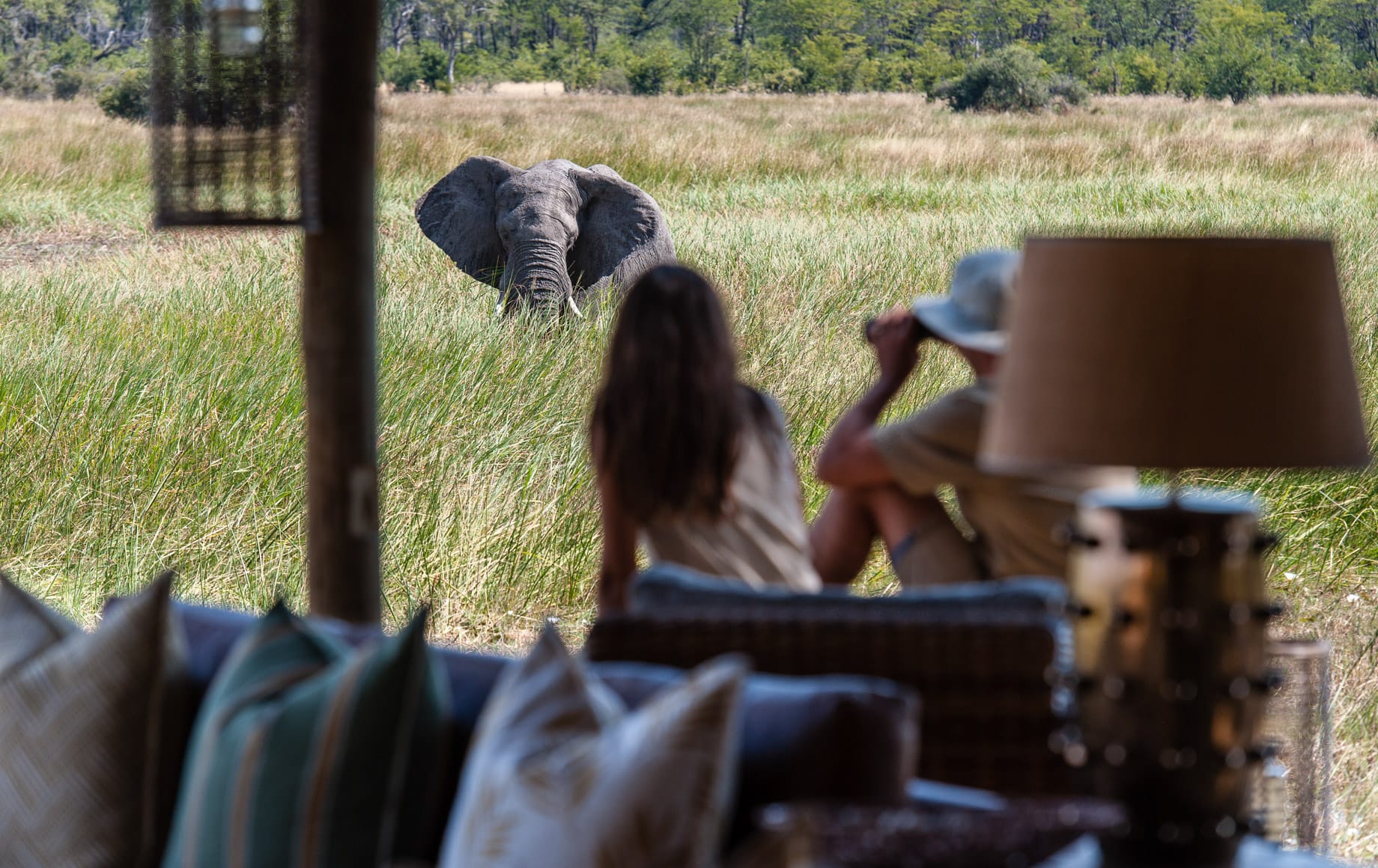 Watching elephant from camp at Sable Alley - Okavango Delta, Botswana‎