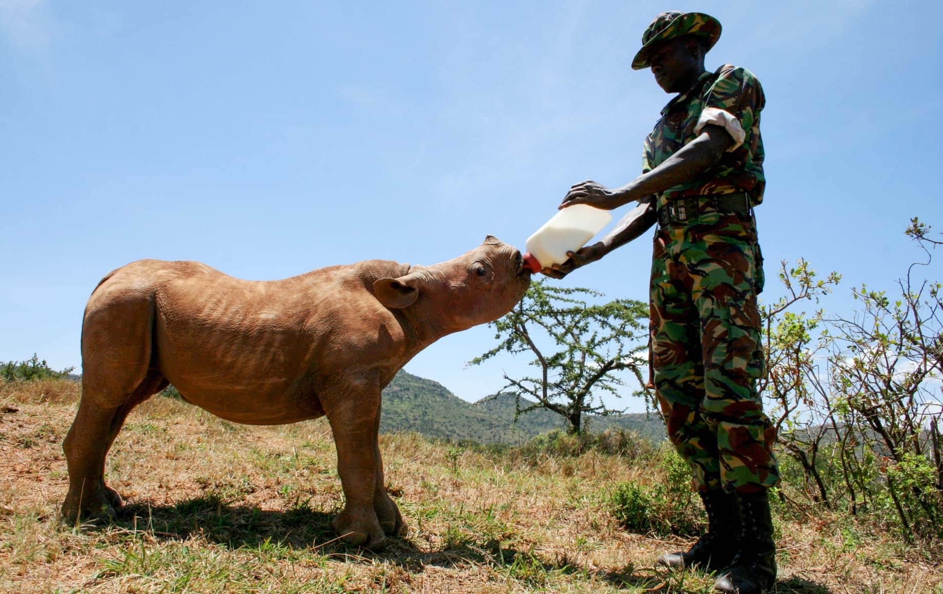 feeding baby rhino Ol Jogi
