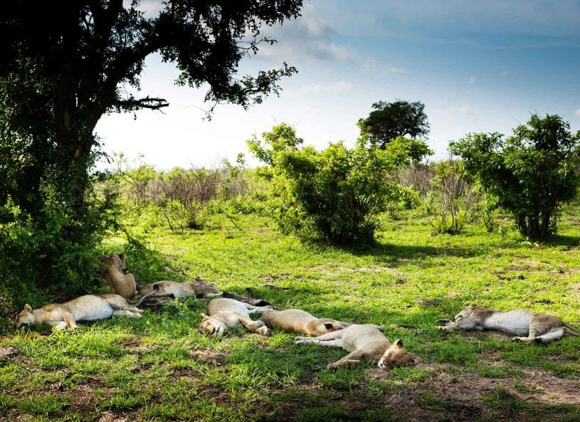 Playing Soccer in an African Village - Micato Luxury Africa Safaris