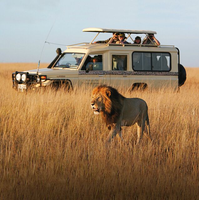 best safari in east africa
