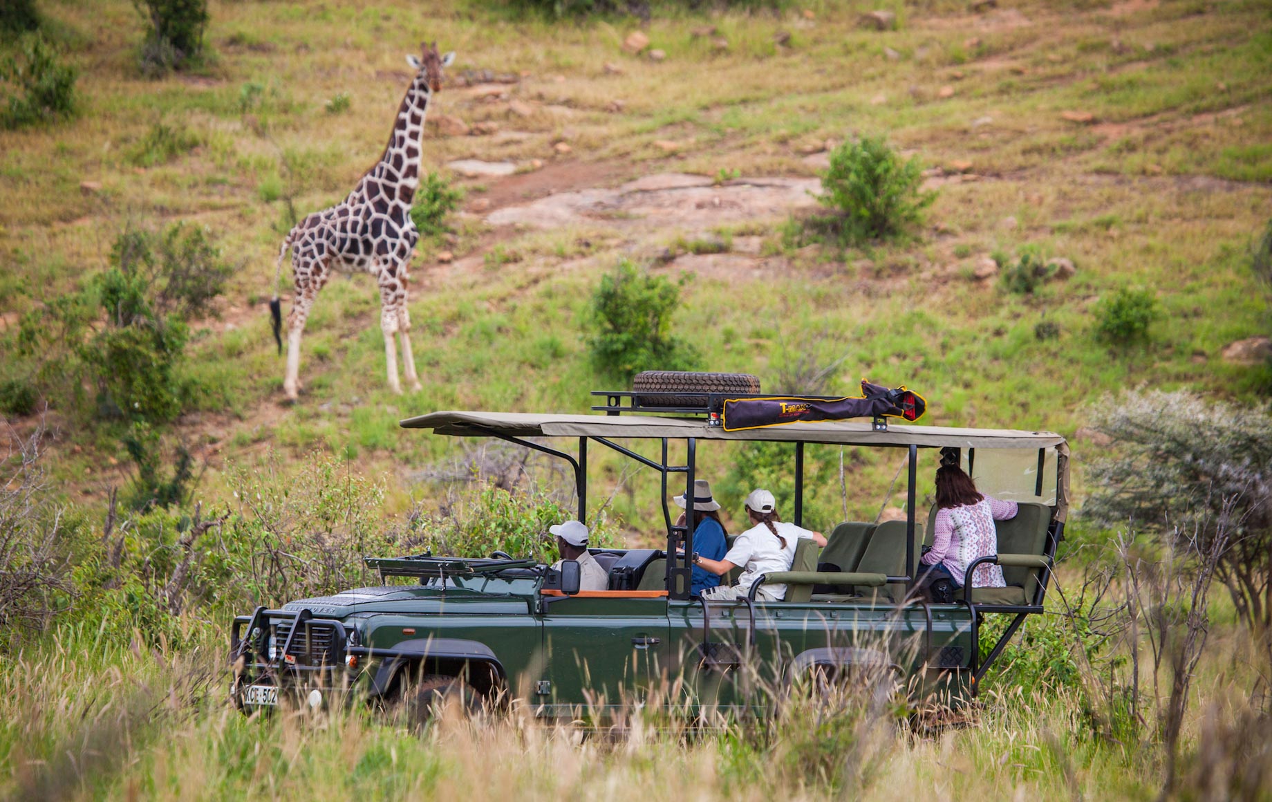 Safariers see giraffe at Loisaba Conservancy