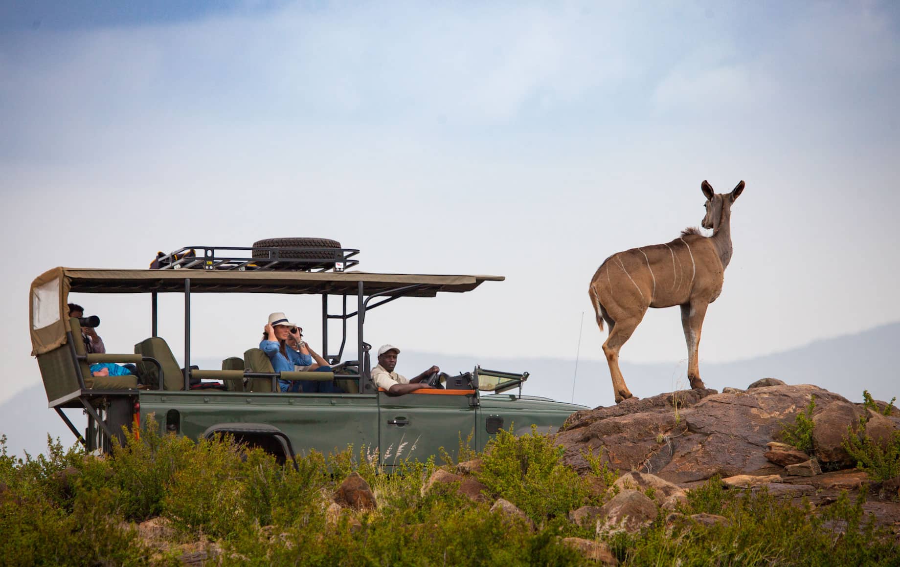 Safari-goers see African deer at Loisaba Conservancy