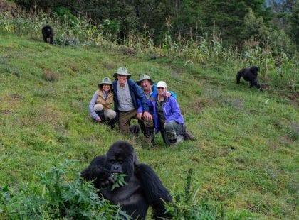 A group on a mountain with gorillas