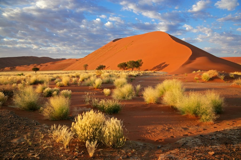 namibian landscape 