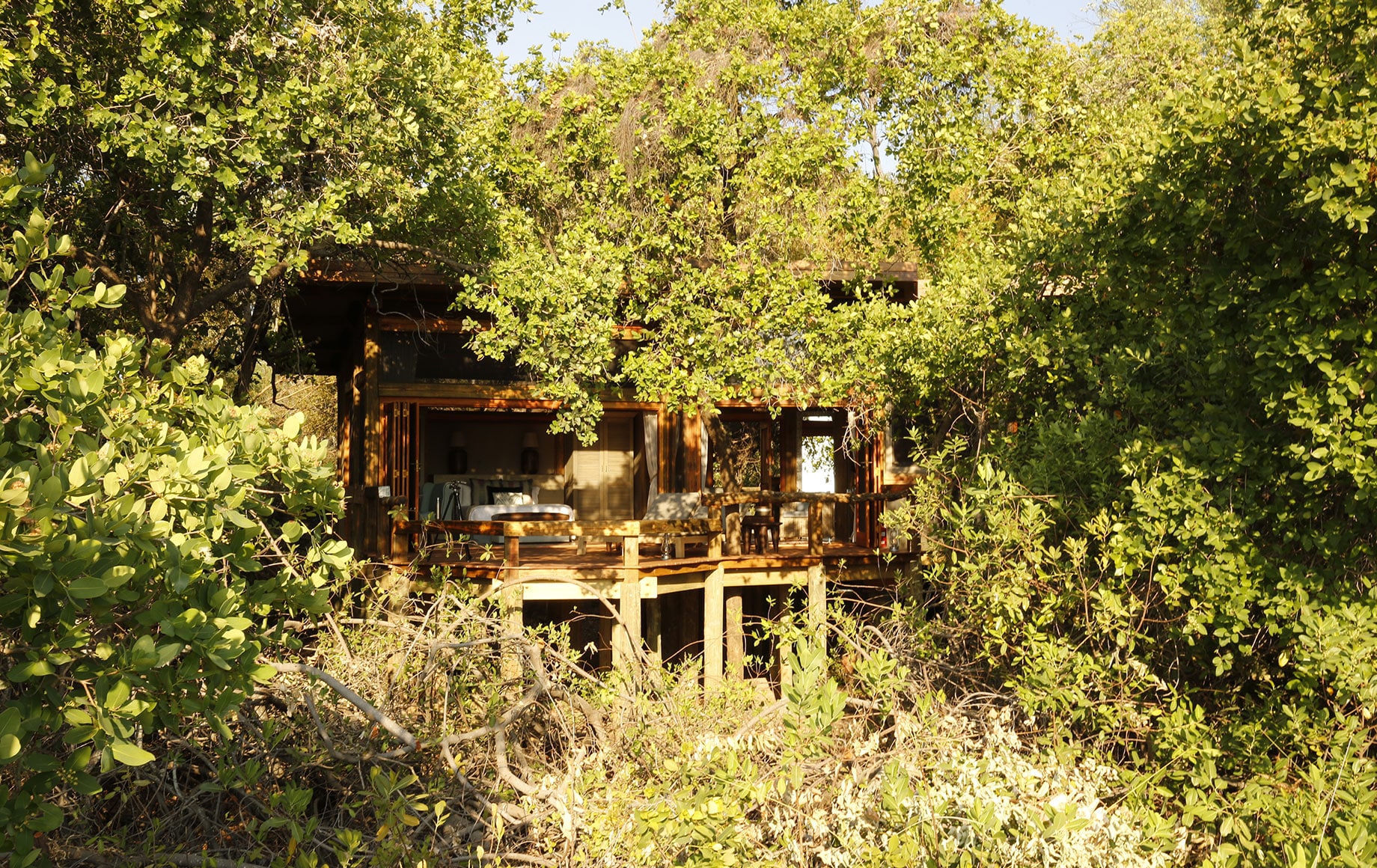 Camp Okavango through the trees