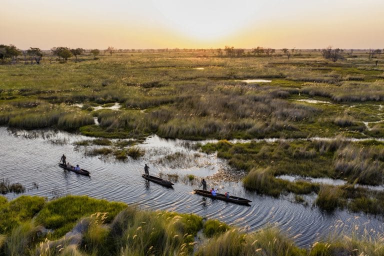 mokoro boats in the Okavango Delta