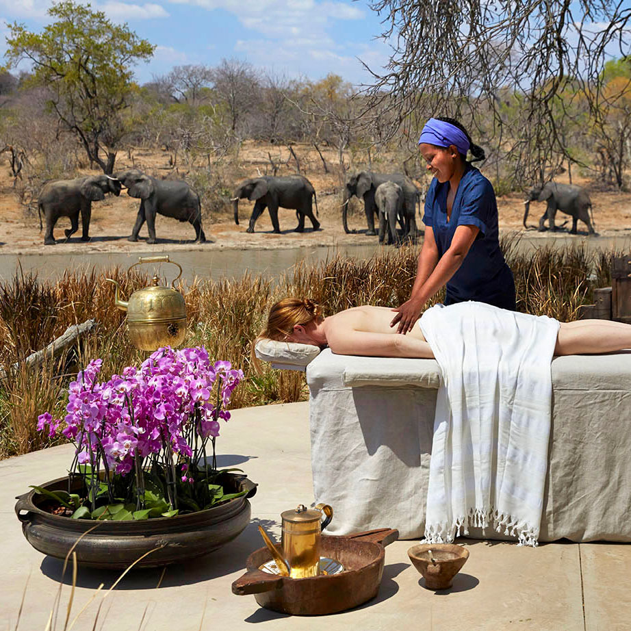 a woman getting an outdoor massage with elephants in the background