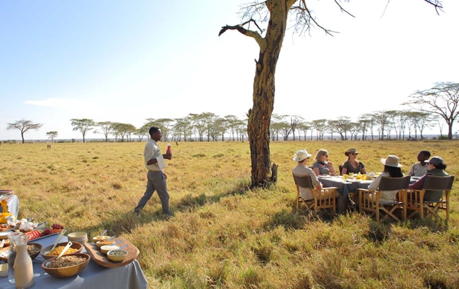 An outdoor meal