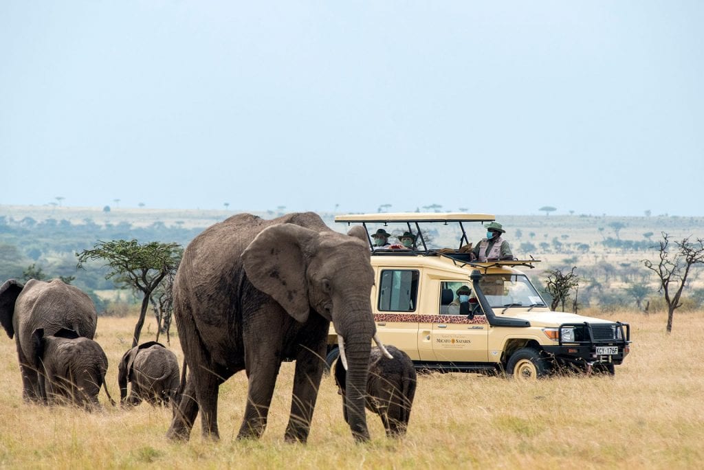 A safari vehicle with elephants passing by