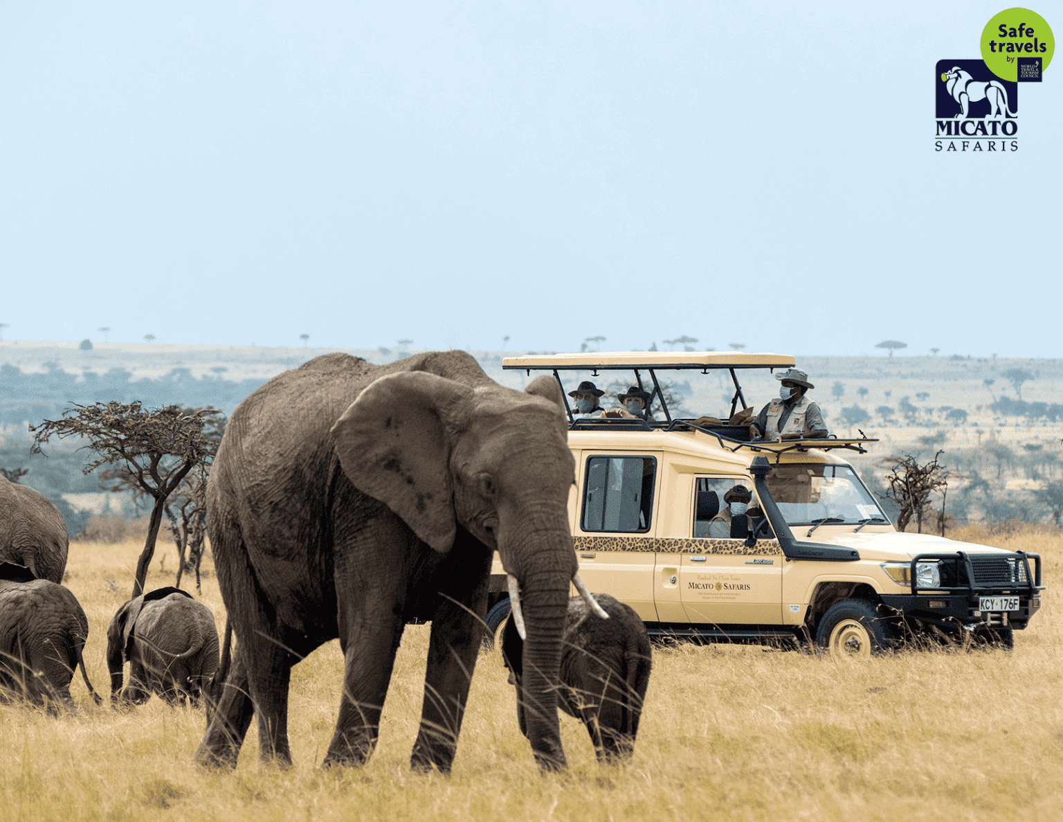 reviews of micato safaris