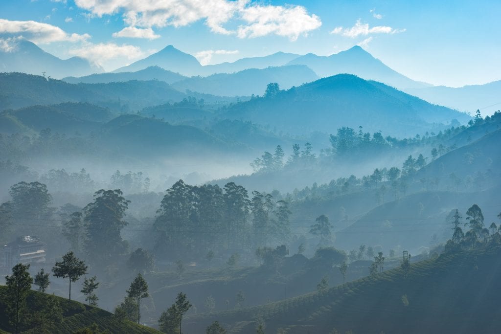 munnar, india 