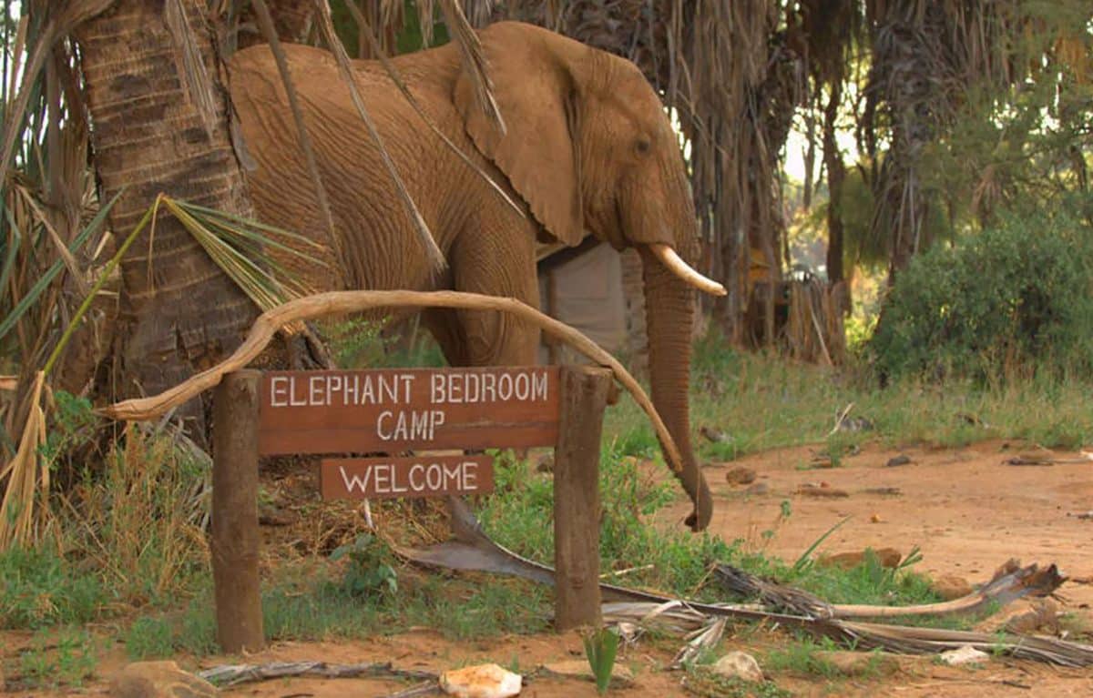 An elephant near the welcome sign.