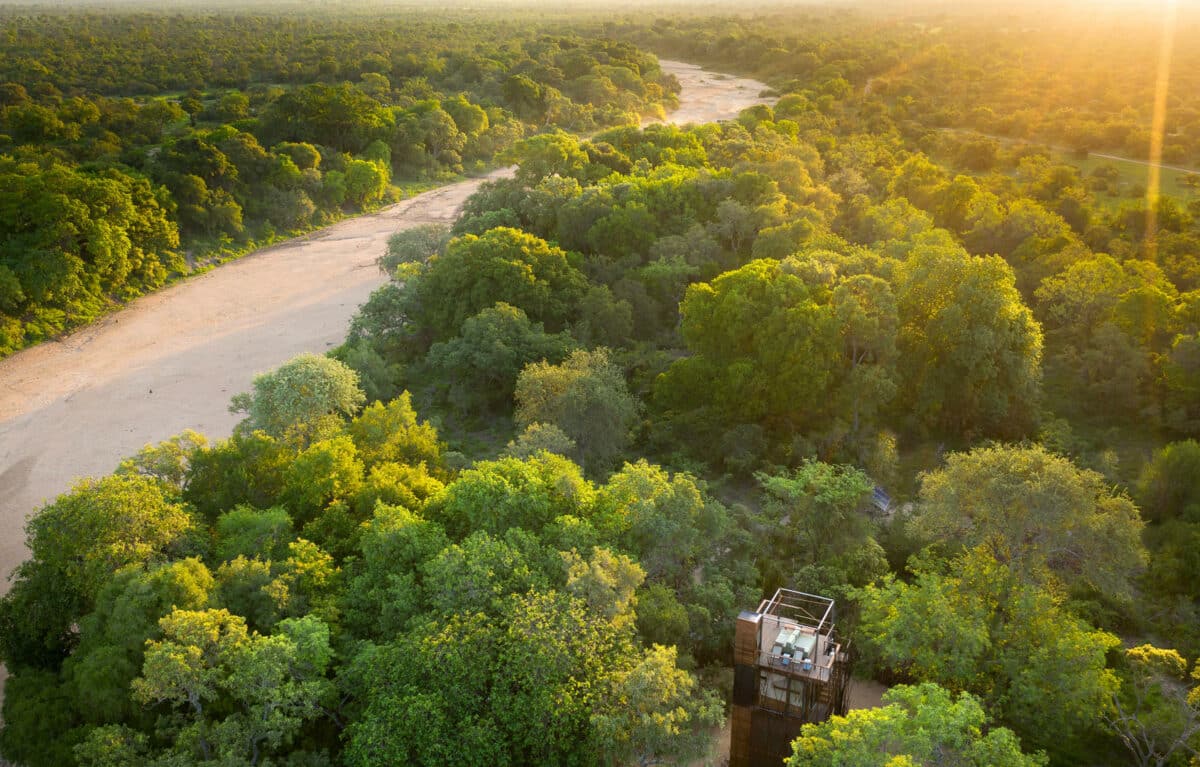 aerial shot of treehouse.