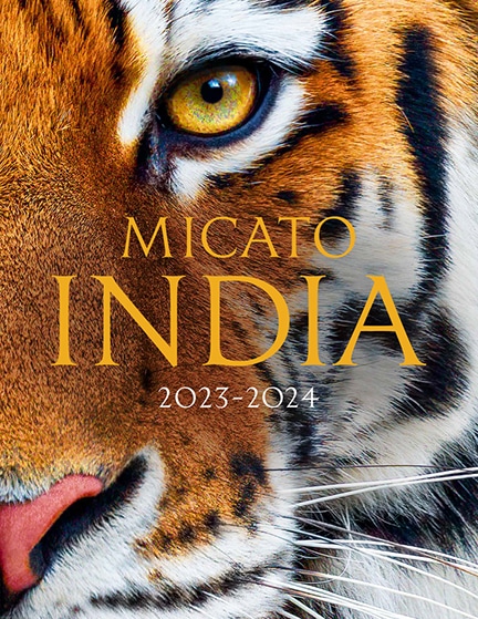 2023 India Brochure Cover
