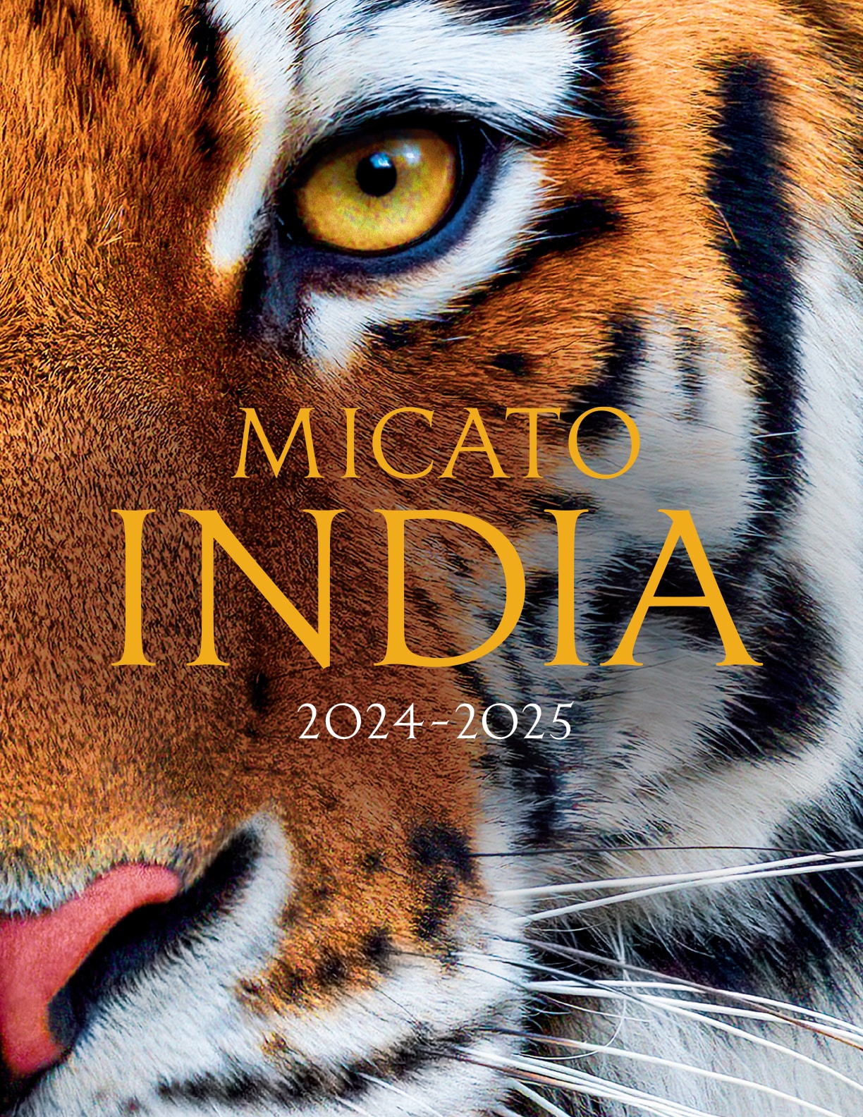 2024 - 2025 India Brochure Cover