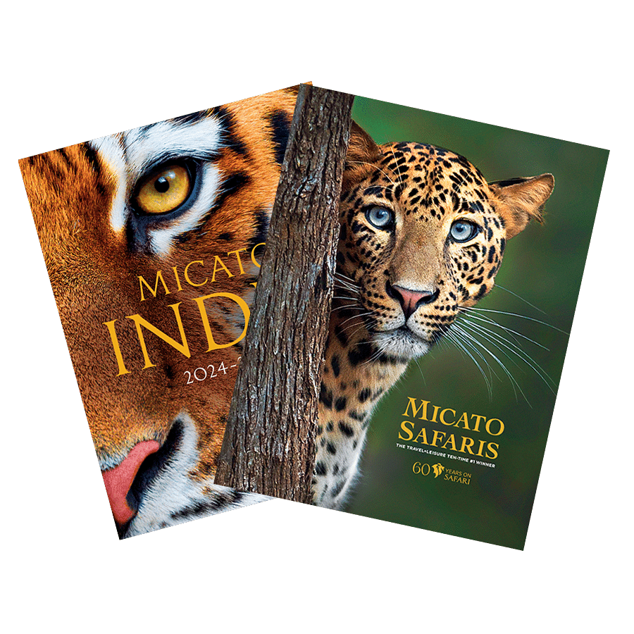 Request a Free Luxury African Safari Brochure Micato Safaris