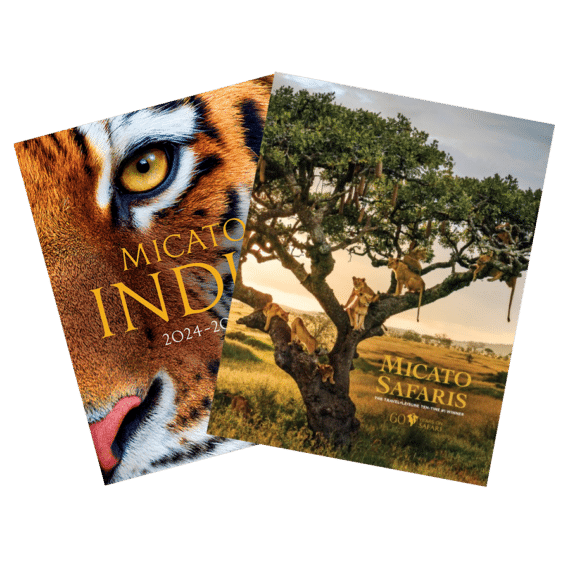 Cover photos of the 2024 to 2025 Africa and India Brochures.